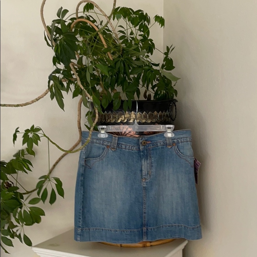 Tint mini skirt